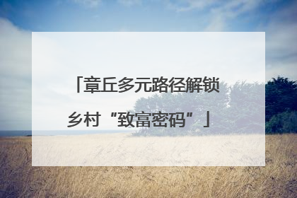 章丘多元路径解锁乡村“致富密码”