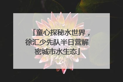 童心探秘水世界，徐汇少先队半日营解密城市水生态
