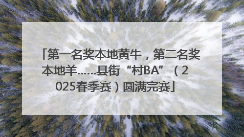 第一名奖本地黄牛，第二名奖本地羊……县街“村BA”（2025春季赛）圆满完赛