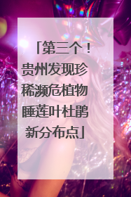 第三个！贵州发现珍稀濒危植物睡莲叶杜鹃新分布点