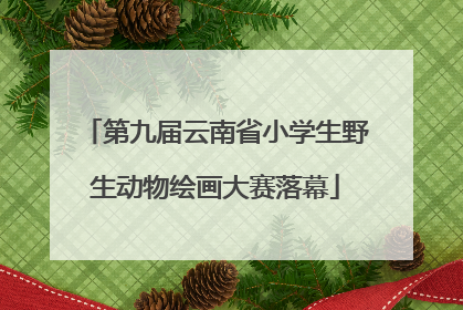 第九届云南省小学生野生动物绘画大赛落幕