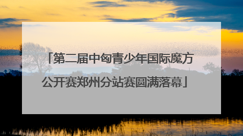 第二届中匈青少年国际魔方公开赛郑州分站赛圆满落幕