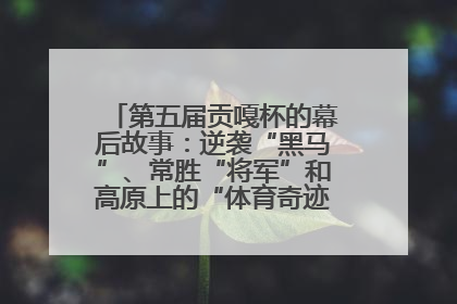 第五届贡嘎杯的幕后故事：逆袭“黑马”、常胜“将军”和高原上的“体育奇迹”丨微纪录