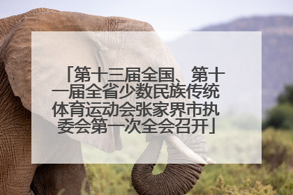 第十三届全国、第十一届全省少数民族传统体育运动会张家界市执委会第一次全会召开