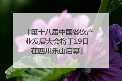 第十八届中国餐饮产业发展大会将于19日在四川乐山启幕