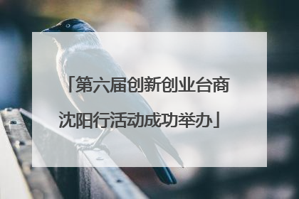 第六届创新创业台商沈阳行活动成功举办