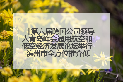 第六届跨国公司领导人青岛峰会通用航空和低空经济发展论坛举行 滨州市全方位推介低空经济发展优势