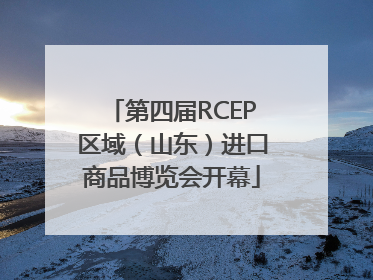 第四届RCEP区域（山东）进口商品博览会开幕