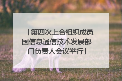 第四次上合组织成员国信息通信技术发展部门负责人会议举行