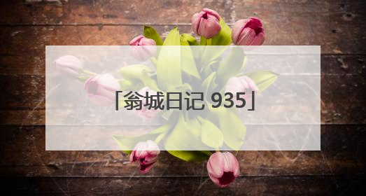 翁城日记 935