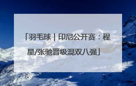 羽毛球｜印尼公开赛：程星/张驰晋级混双八强