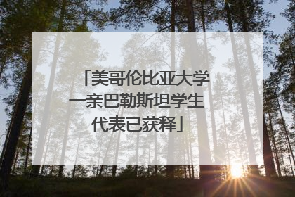 美哥伦比亚大学一亲巴勒斯坦学生代表已获释