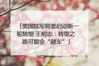 美国陆军将要启动新一轮转型 王明志：转型之路可能会“翻车”
