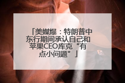 美媒爆：特朗普中东行期间承认自己和苹果CEO库克“有点小问题”
