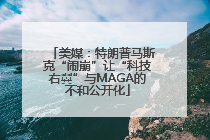 美媒：特朗普马斯克“闹崩”让“科技右翼”与MAGA的不和公开化