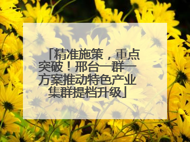 精准施策，重点突破！邢台一群一方案推动特色产业集群提档升级