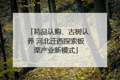 精品认购、古树认养 河北迁西探索板栗产业新模式
