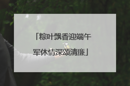 粽叶飘香迎端午 军休情深颂清廉