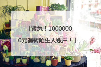 紧急！10000000元误转陌生人账户！
