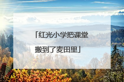 红光小学把课堂搬到了麦田里