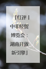 红评丨中非经贸博览会：湖南开放新引擎