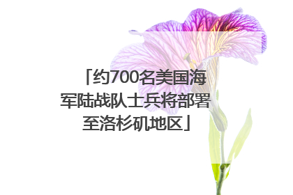 约700名美国海军陆战队士兵将部署至洛杉矶地区
