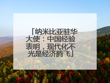 纳米比亚驻华大使：中国经验表明，现代化不光是经济腾飞