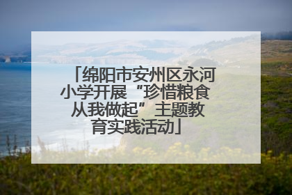 绵阳市安州区永河小学开展“珍惜粮食 从我做起”主题教育实践活动