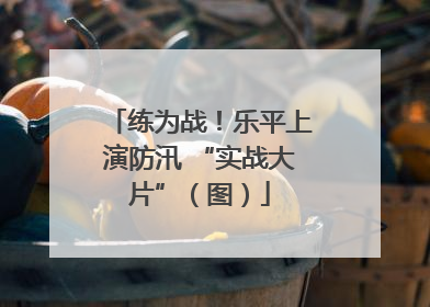 练为战！乐平上演防汛 “实战大片”（图）