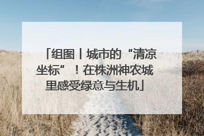 组图丨城市的“清凉坐标”！在株洲神农城里感受绿意与生机
