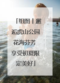 组图丨邂逅虎山公园花海芬芳 享受初夏限定美好