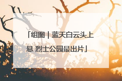组图｜蓝天白云头上悬 烈士公园最出片