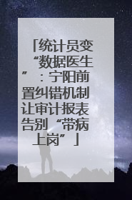 统计员变“数据医生”：宁阳前置纠错机制让审计报表告别“带病上岗”