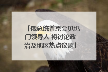 俄总统普京会见也门领导人 将讨论政治及地区热点议题