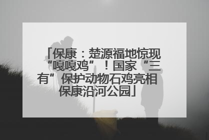 保康：楚源福地惊现“嘎嘎鸡”！国家“三有”保护动物石鸡亮相保康沿河公园