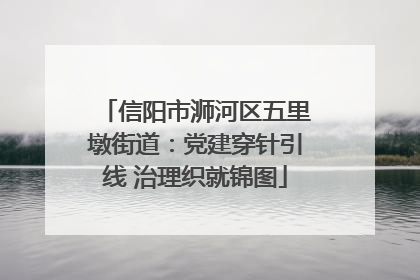 信阳市浉河区五里墩街道：党建穿针引线 治理织就锦图