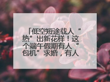 低空短途载人“热”出新花样！这个端午假期有人“包机”求婚，有人空中看龙舟赛