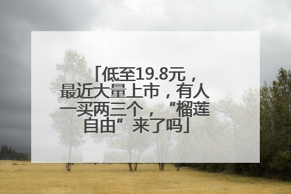 低至19.8元，最近大量上市，有人一买两三个，“榴莲自由”来了吗