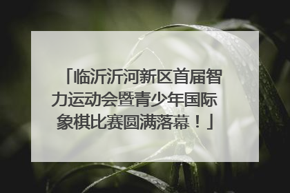 临沂沂河新区首届智力运动会暨青少年国际象棋比赛圆满落幕！