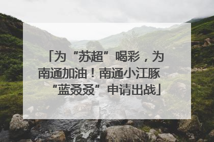 为“苏超”喝彩，为南通加油！南通小江豚“蓝叒叒”申请出战
