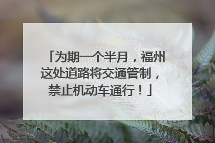 为期一个半月，福州这处道路将交通管制，禁止机动车通行！