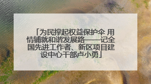 为民撑起权益保护伞 用情铺就和谐发展路——记全国先进工作者、新区项目建设中心干部卢小勇