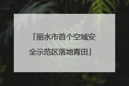丽水市首个空域安全示范区落地青田