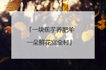 一块蕉芋养肥羊 一朵鲜花富全村
