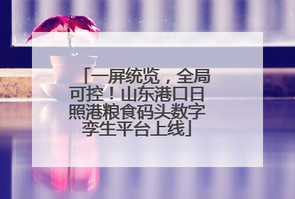 一屏统览，全局可控！山东港口日照港粮食码头数字孪生平台上线