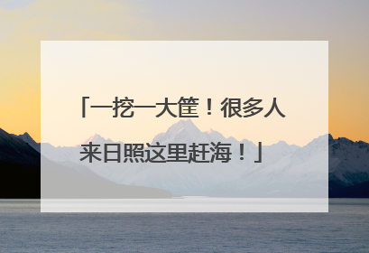 一挖一大筐！很多人来日照这里赶海！