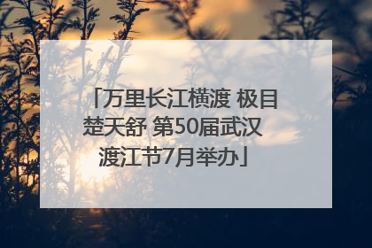 万里长江横渡 极目楚天舒 第50届武汉渡江节7月举办