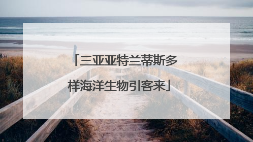 三亚亚特兰蒂斯多样海洋生物引客来