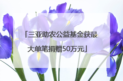 三亚助农公益基金获最大单笔捐赠50万元