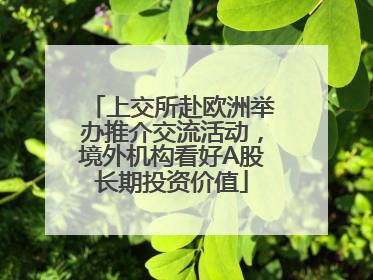 上交所赴欧洲举办推介交流活动，境外机构看好A股长期投资价值